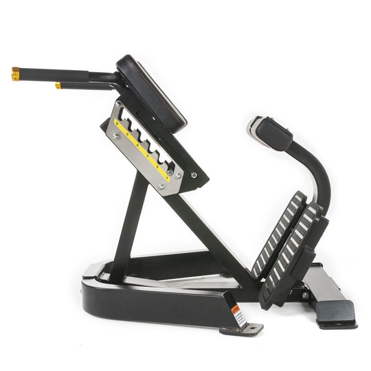 Thor Fitness Back Extension, Penkit