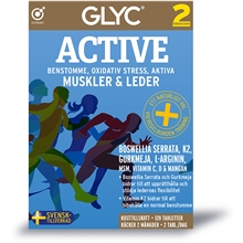 GLYC ACTIVE 120 tablettia